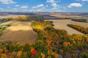 52765 409th Ave, North Mankato, MN 56003 - Photo 8