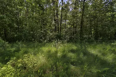 Tract C Olander Road, Crosby, MN 56441 - Photo 6