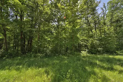 Tract C Olander Road, Crosby, MN 56441 - Photo 8