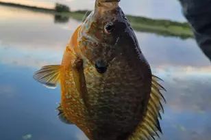 28594 Birch Island Lake Trail, Danbury, WI 54830 - Photo 90