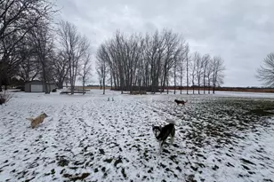 302 Grace Ave, Clontarf, MN 56226 - Photo 34