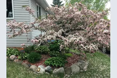 5427 Knox Avenue N, Brooklyn Center, MN 55430 - Photo 26