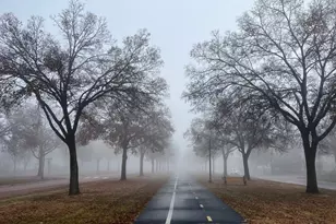 4433 Oliver Ave N, Minneapolis, MN 55412 - Photo 40