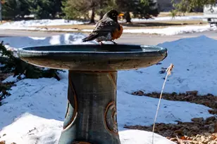 15053 Uplander St NW, Andover, MN 55304 - Photo 46