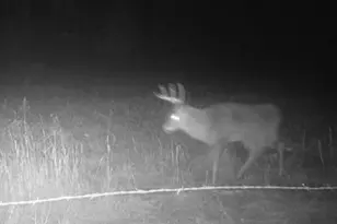 7874 475th St, Rush City, MN 55069 - Photo 56