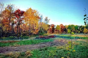 7874 475th St, Rush City, MN 55069 - Photo 36