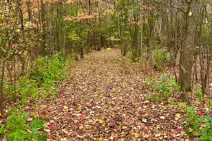 7874 475th St, Rush City, MN 55069 - Photo 40