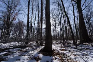 7874 475th St, Rush City, MN 55069 - Photo 92