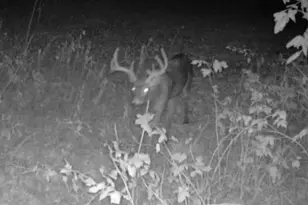 7874 475th St, Rush City, MN 55069 - Photo 62