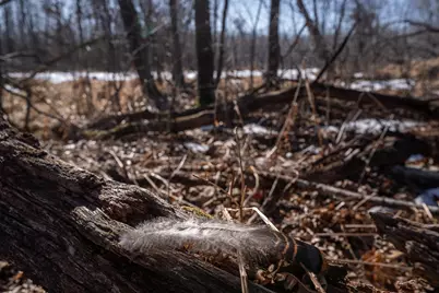 7874 475th Street, Rush City, MN 55069 - Photo 60