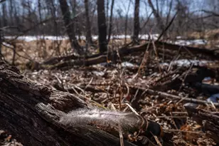 7874 475th St, Rush City, MN 55069 - Photo 60