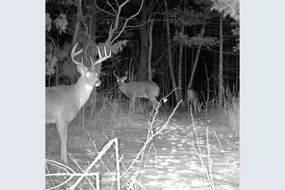 7874 475th Street, Rush City, MN 55069 - Photo 78