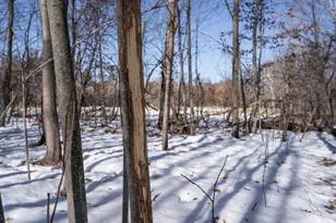 7874 475th St, Rush City, MN 55069 - Photo 50