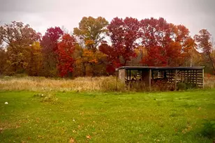 7874 475th St, Rush City, MN 55069 - Photo 100