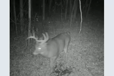 7874 475th Street, Rush City, MN 55069 - Photo 54