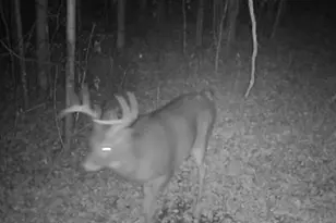 7874 475th St, Rush City, MN 55069 - Photo 54