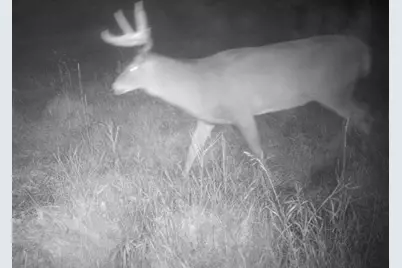 7874 475th Street, Rush City, MN 55069 - Photo 66