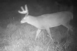 7874 475th St, Rush City, MN 55069 - Photo 66