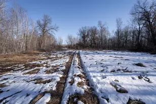 7874 475th St, Rush City, MN 55069 - Photo 102