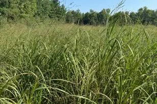 7874 475th St, Rush City, MN 55069 - Photo 64