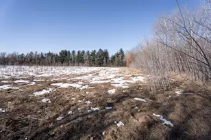 7874 475th St, Rush City, MN 55069 - Photo 98