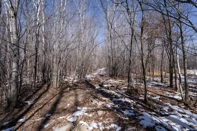 7874 475th Street, Rush City, MN 55069 - Photo 70