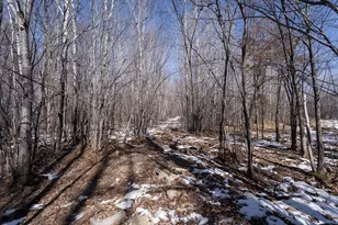 7874 475th St, Rush City, MN 55069 - Photo 70