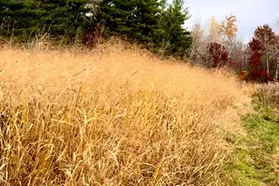 7874 475th St, Rush City, MN 55069 - Photo 52