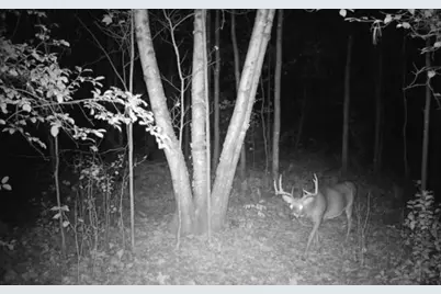 7874 475th Street, Rush City, MN 55069 - Photo 38