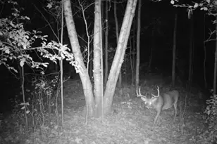 7874 475th St, Rush City, MN 55069 - Photo 38