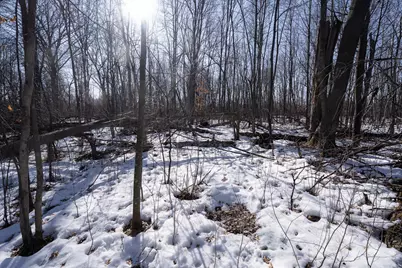 7874 475th Street, Rush City, MN 55069 - Photo 94