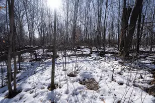 7874 475th St, Rush City, MN 55069 - Photo 94