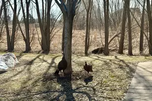 11899 85th Pl N, Maple Grove, MN 55369 - Photo 42