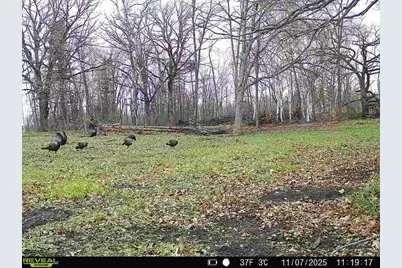 Tbd 270th Street, Deer Creek, MN 56527 - Photo 78