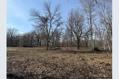 Tbd 270th Street, Deer Creek, MN 56527 - Photo 40