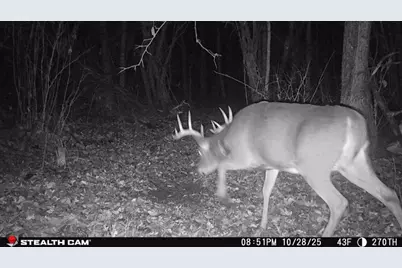 Tbd 270th Street, Deer Creek, MN 56527 - Photo 66