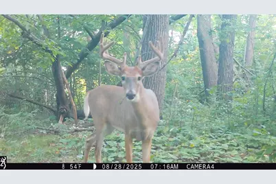 Tbd 270th Street, Deer Creek, MN 56527 - Photo 68