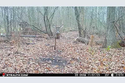 Tbd 270th Street, Deer Creek, MN 56527 - Photo 72