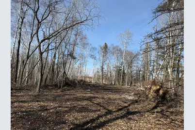 Tbd 270th Street, Deer Creek, MN 56527 - Photo 46