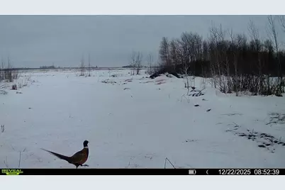 Tbd 270th Street, Deer Creek, MN 56527 - Photo 76