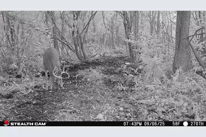 Tbd 270th Street, Deer Creek, MN 56527 - Photo 64