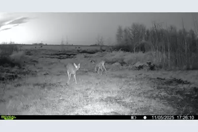 Tbd 270th Street, Deer Creek, MN 56527 - Photo 74