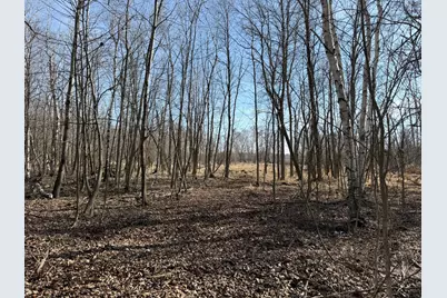 Tbd 270th Street, Deer Creek, MN 56527 - Photo 56