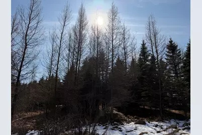 Tbd 270th Street, Deer Creek, MN 56527 - Photo 30