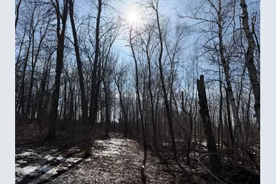 Tbd 270th Street, Deer Creek, MN 56527 - Photo 48