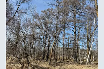 Tbd 270th Street, Deer Creek, MN 56527 - Photo 58