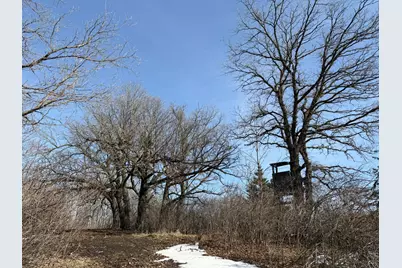 Tbd 270th Street, Deer Creek, MN 56527 - Photo 34