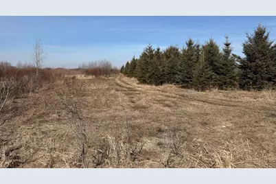 Tbd 270th Street, Deer Creek, MN 56527 - Photo 16