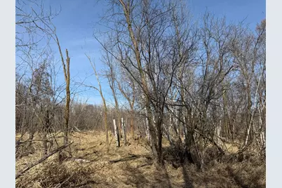 Tbd 270th Street, Deer Creek, MN 56527 - Photo 28