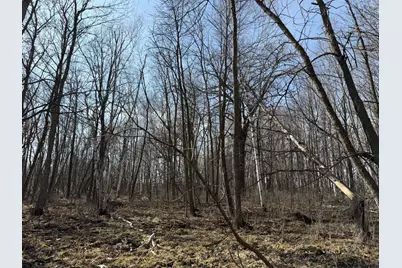 Tbd 270th Street, Deer Creek, MN 56527 - Photo 52